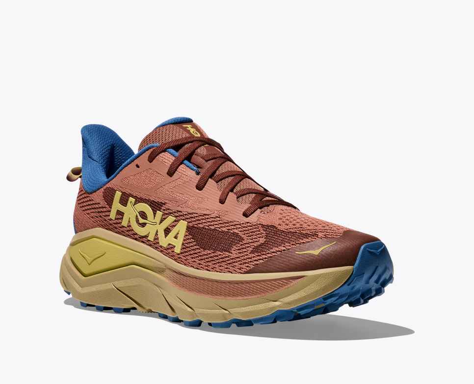 Zoom