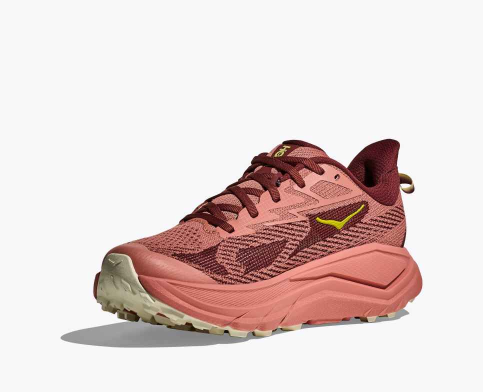 Zoom