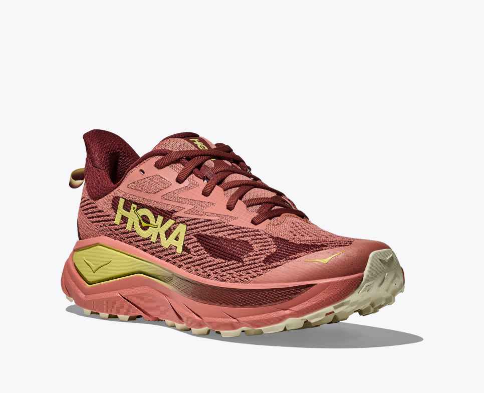 Zoom