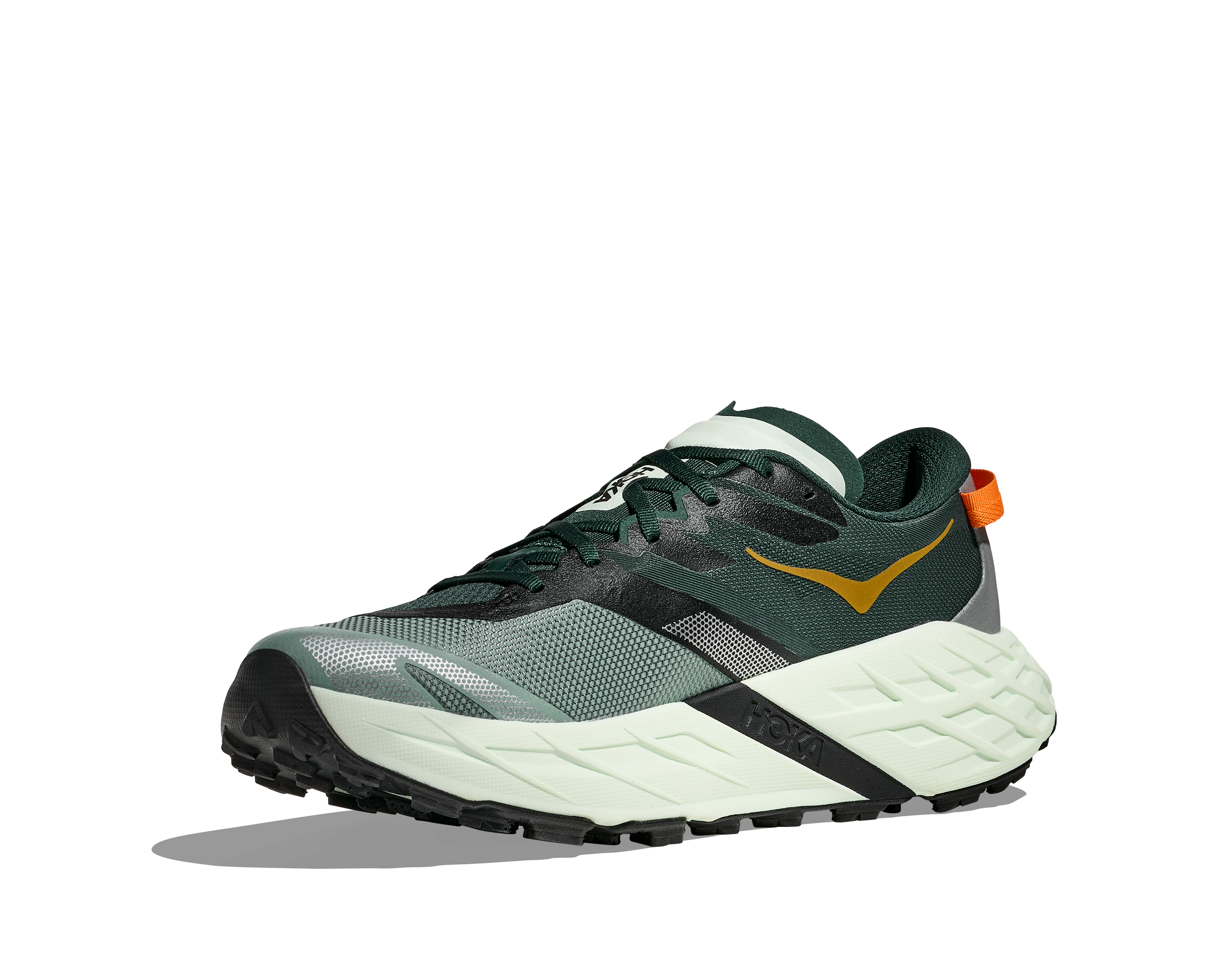 Zoom